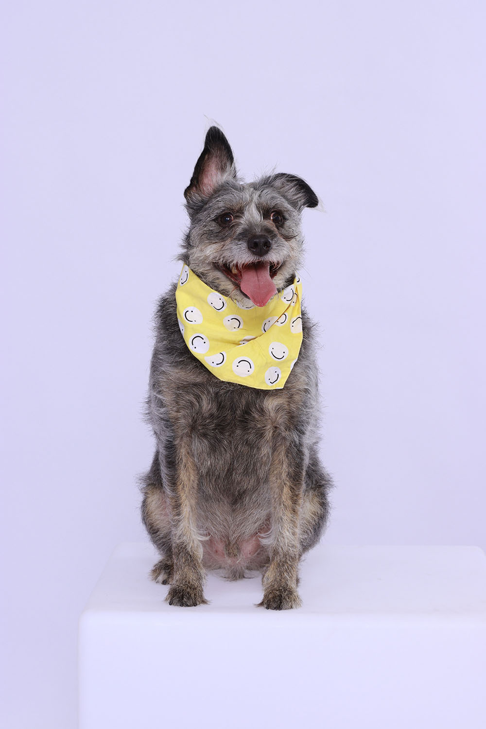 20251214JennyferTan(181) (1)