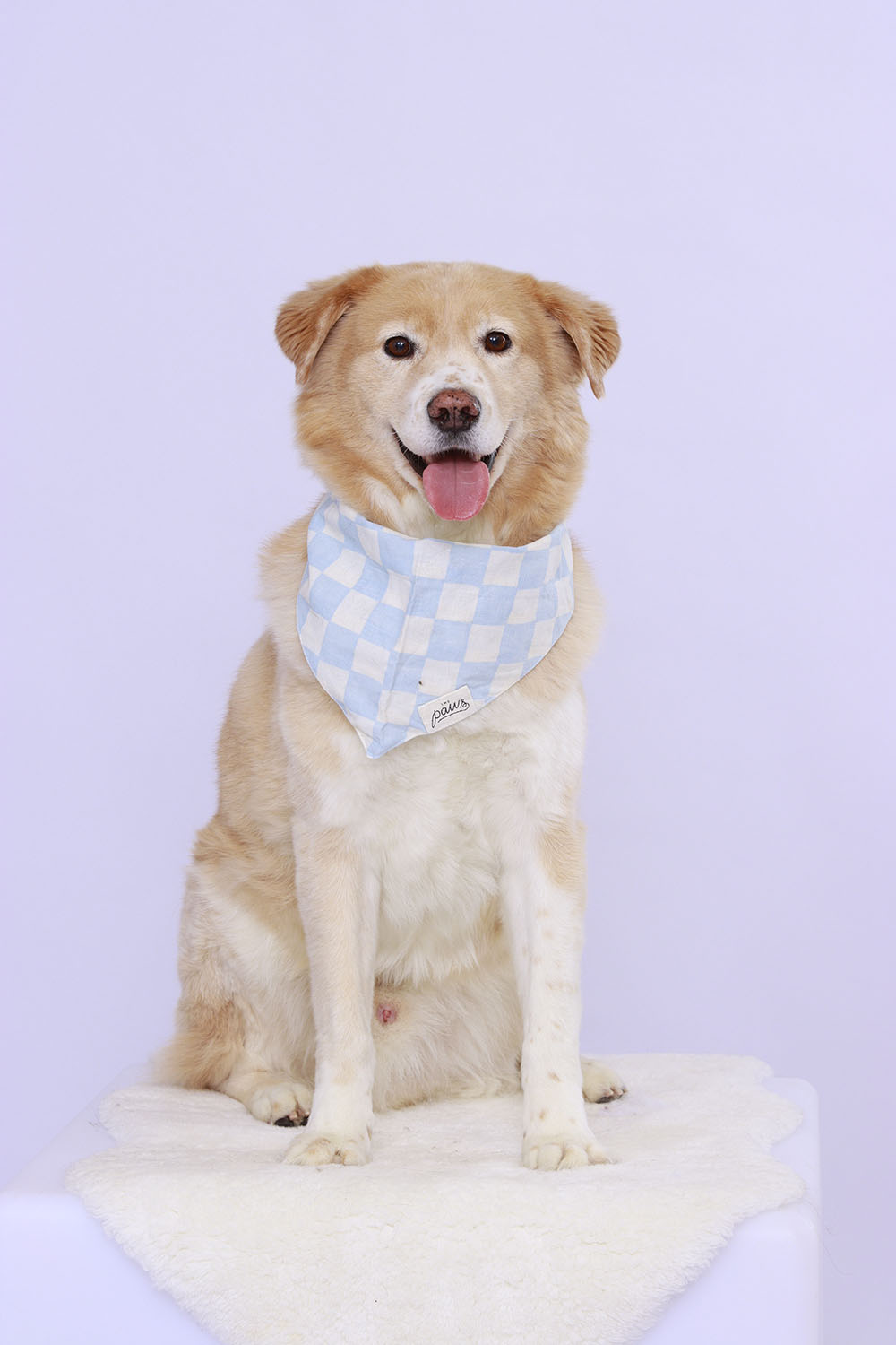 20251214JennyferTan(195) (1)