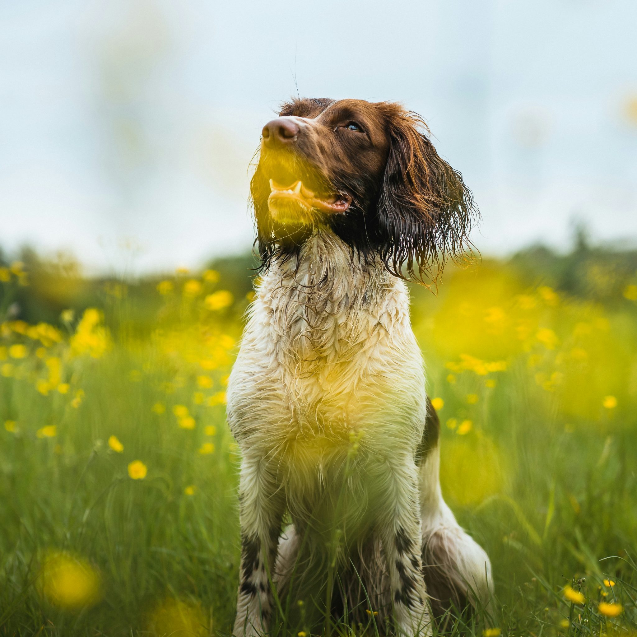 samuel-girven-DEa39ljEcq0-unsplash